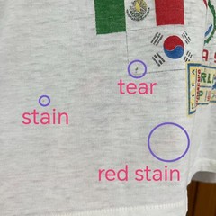 Vintage 90s Paper Thin FIFA Women’s World Cup USA Soccer Flags Graphic Tee XL
