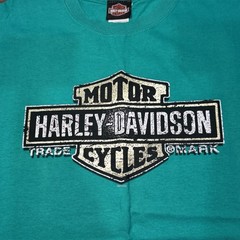 Harley-Davidson Genuine Motorcycles Barnett’s New Mexico Eagle Green XL