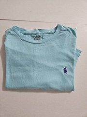 Ralph Lauren Mens Turquoise Cotton Tee Purple Pony Logo Size L