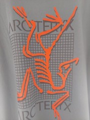Arc’teryx Men’s Arc’Multi Bird Logo T-Shirt – Stone Wash (size XL)