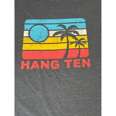 Hang Ten Mens Large Blue Heather Retro Sunset Palm Tree Graphic T-Shirt Surf Tee