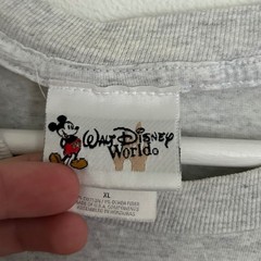 Vintage Disney Blizzard Beach Summit Plummet T Shirt Mens XL Gray Graphic Tee