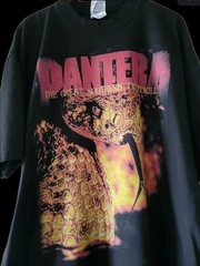 PANTERA GREAT SOUTHERN TRENDKILL On SHAKA HEAVYWEIGHT GARMET SHIRT