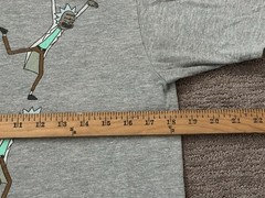 Rick & Morty Adult Swim Medium Gray Graphic T-Shirt Ripple Junction