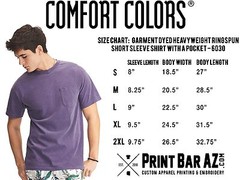 Sigma Alpha Epsilon Fraternity Letters COMFORT COLORS POCKET Shirt SAE – NEW