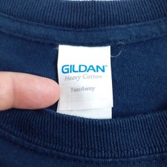 Gildan T Shirt Mens Extra Large Blue Tee Florida Sunshine State Treasure Island