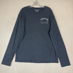 Pendleton T Shirt Mens L Gray Long Sleeve Bison Logo Crew Neck Lightweight Tee