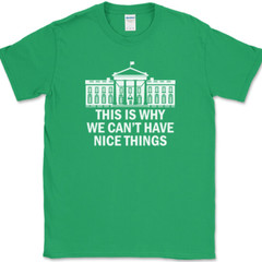 Why We Can’t Have Nice Things T-Shirt Funny Anti Government Political Tee