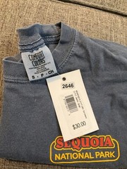 Comfort Colors Men’s Sequoia National Park T-shirt S Sun Beams Denim Graphic Tee