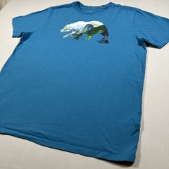 The North Face Men’s L Teal Blue Bear Mountain Graphic T-Shirt Yosemite Cotton