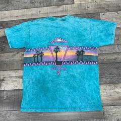 Vintage Oneita Florida T-Shirt Single Stitch 90s Retro USA Cotton Mens Large