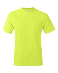 Hanes Unisex Authentic T-Shirt