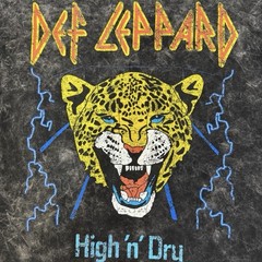 Def Leppard High ‘n’ Dry Logo Graphic Crew Neck T-Shirt M