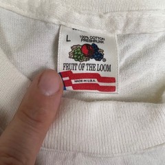 Vintage Fruit of the Loom Toucan Bird Graphic T Shirt Size Large Single Stitch