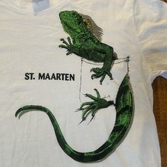 Iguana St. Maarten Stanley Michael Lizard Graphic T Shirt Large Caribbean Ts
