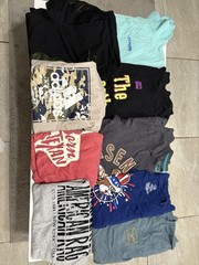 Men’s Lot of 9 T Shirts Medium Various Brands and Colors