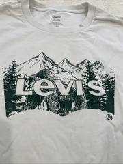Levi’s Mountain Graphic T-Shirt Crew Neck Short Sleeve White Men’s Small