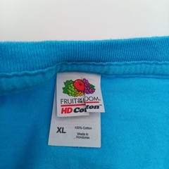 Fruit Of The Loom T Shirt Mens XL Blue Charleston South Carolina Colorful Print