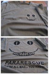 PARARESCUE “We”re All Mad” USAF Silk Screen T-Shirt LARGE Ultra Cotton TAN