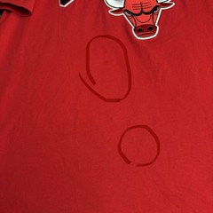 Chicago Bulls NBA CHAMPIONSHIP T-Shirt~Men’s XL~Pro Standard Red Crew neck