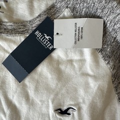 White/Gray Hollister Men’s Short Sleeve Crew Neck T-Shirt Must Have Collection L