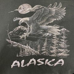 Vintage Alaska Eagle Wilderness Graphic Tee On Anvil Label Single Stitch Sz 2X