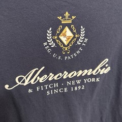 Women’s Abercrombie & FItch Cropped Crest Logo Tee Boxy Y2K Inspired Preppy M