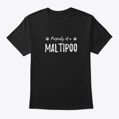 Property Of A Maltipoo Funny Dog T-Shirt Made in the USA Size S to 5XL