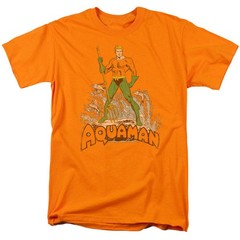 DC Aquaman Distressed Licensed Adult Unisex T-Shirt Regular Fit Tee SM-3X