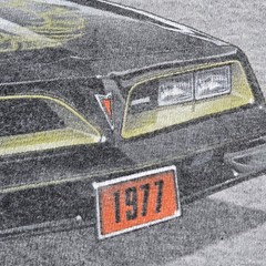 Vintage Pontiac Firebird Trans Am Shirt 3XL Screaming Chicken Smokey Bandit Y2K