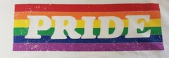LGBTQ – Adult T-Shirt – Pride – Rainbow