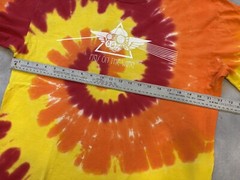 Vintage Y2K Pink Floyd Tie Dye Pigs On The Wing Band Shirt Port & Company Large