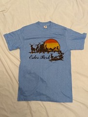 NEVER USED DEAD STOCK VINTAGE 70’S HANES GOLD TAG SINGLE STITCH T SHIRT USA MADE