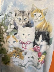 The Mountain Classic Kitten Shirt Sky Blue , Cute Graphic Mens Sz Medium