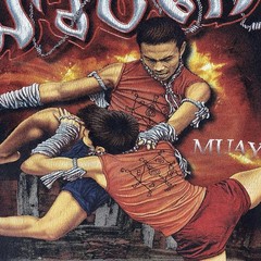 Vintage Rare Muay Thai Shirt Large Boxing Kickboxing UFC MMA Wrestling Thailand