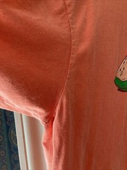 “GREYSTONE CARNIVAL 2022” MENS Orange Comfort Colors SS Cotton T Shirt SZ LG