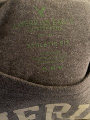 American Eagle Outfitters Men’s Graphic Logo Athletic Fit Crew Neck Tee Gray M