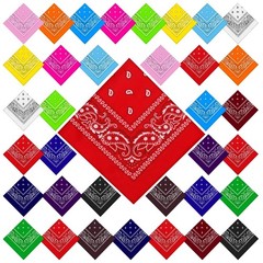 Paisley Cowboy Bandanas Bulk Polyester Headband Scarf Kerchief 36 PCS