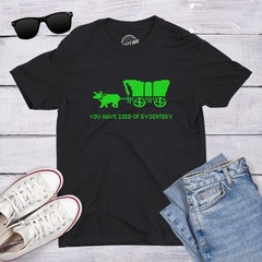 You Have Died Of Dysentery T Shirt Funny Gamer Shirts Video Games Nerdy Cool 80s