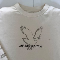 NWT American Eagle Men’s Super Soft Long Sleeve Logo Graphic Shirt Sz Large Y2K