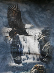 The Mountain Graphic Tee Shirt Flying Eagle Nature Blue 100% Cotton USA Men’s XL