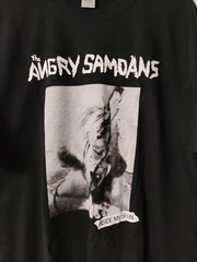 The Angry Samoans Shirt, Inside My Brain punk hardcore d.o.a. s.n.f. Unisex Tee