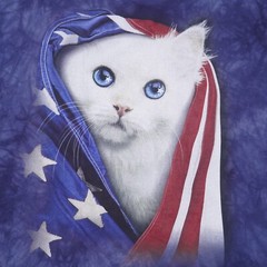 The Mountain USA Kitten Patriotic Graphic Mens Large Blue Tie Dye T Shirt NWOT