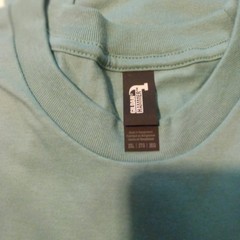 Gildan Short Sleeve T-Shirt, 2 XL