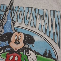 Vintage Disney Splash Mountain Shirt Mens Large Mickey Mouse Retired Ride Tee