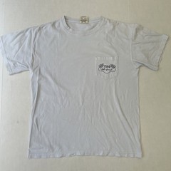 Official Pi Beta Phi Sorority Fall Formal VW Van Beach Sunset Shirt Medium Vtg.