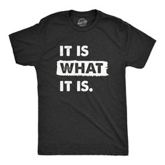 Mens It Is What It Is T Shirt Funny Sarcastic Accepting Coping Saying Tee For