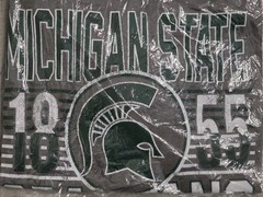 New Michigan State Spartans T-Shirt Official NCAA Gray Men’s Size L Large NWT