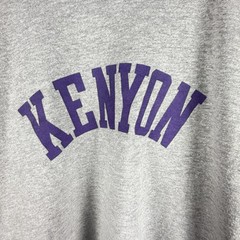 Vintage Champion Kenyon College Heather Gray T Shirt USA Medium 19×24