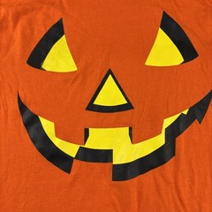 Way To Celebrate Halloween Pumpkin Shirt Men’s Size S 34-36 Orange